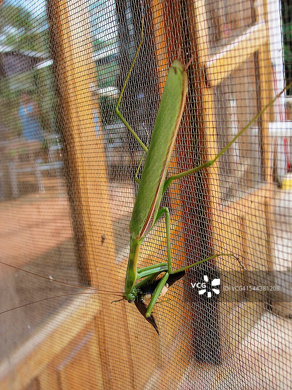 喂食的时候图片素材