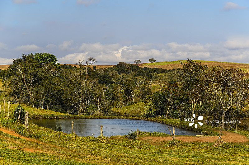 森林中的小湖泊图片素材
