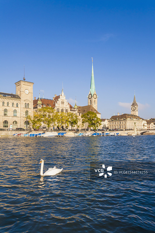 城市景观、圣母大教堂、圣彼得教堂图片素材