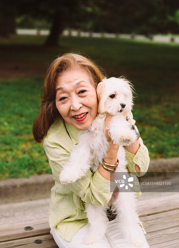 在公园里和马耳他犬在一起的日本老年女性图片素材