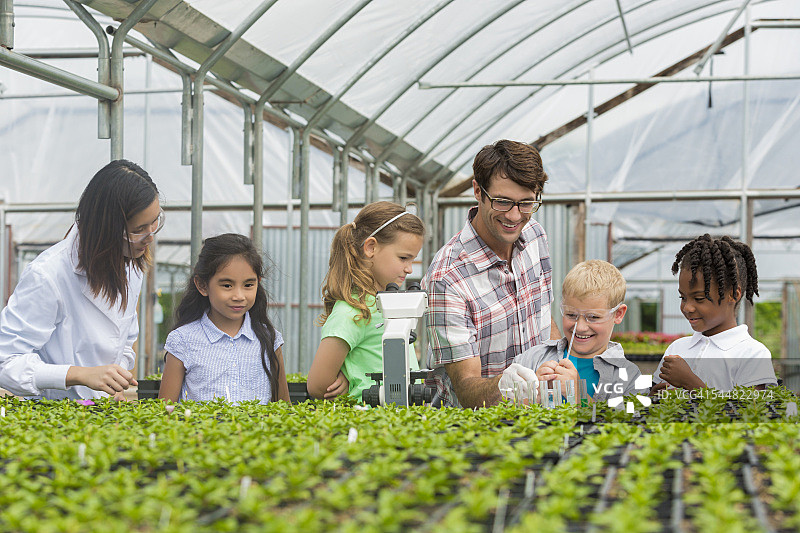小学生们在实地考察旅行中玩耍图片素材