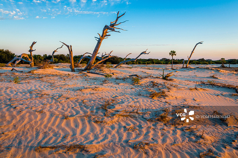 海岸沙丘图片素材
