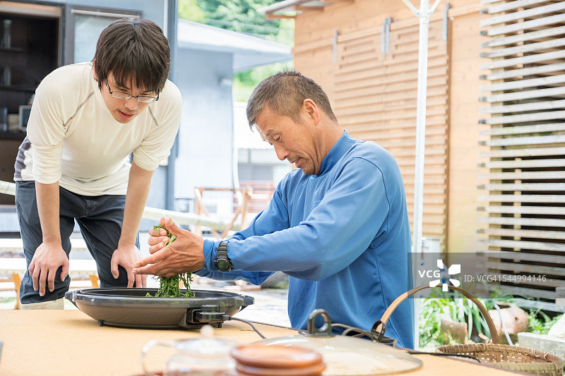 教儿子揉搓新鲜茶叶的中年日本父亲图片素材