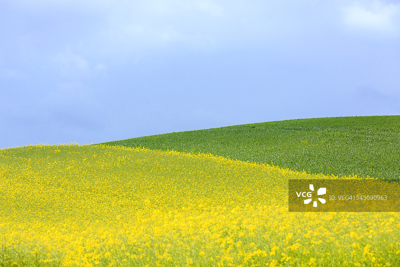 绿色的风景图片素材