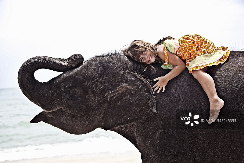 骑在小象上的5岁女孩图片素材