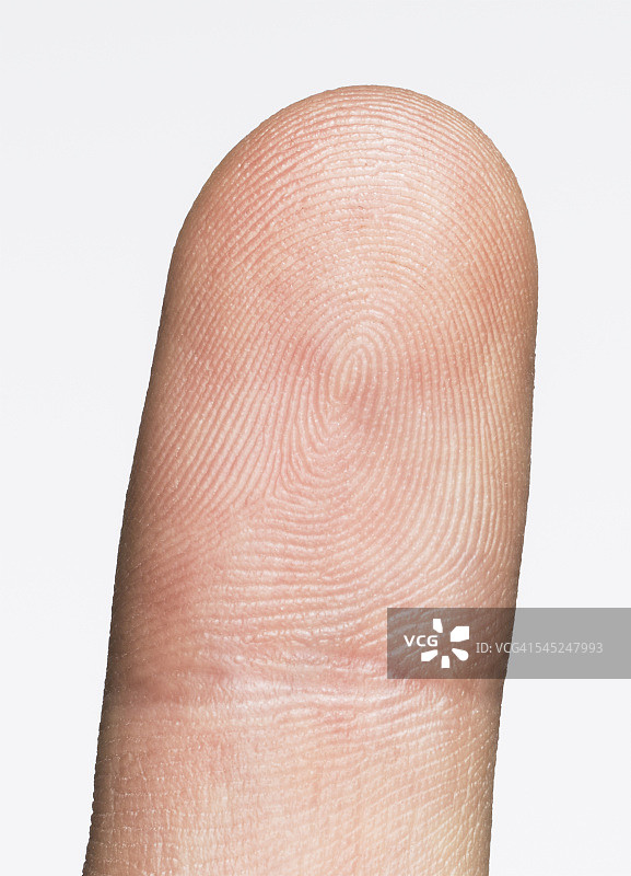 带有可见纹路的手指图片图片素材
