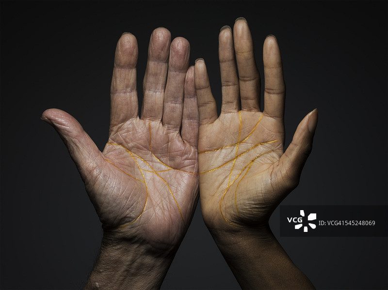 不同肤色和年龄的男女手图片素材