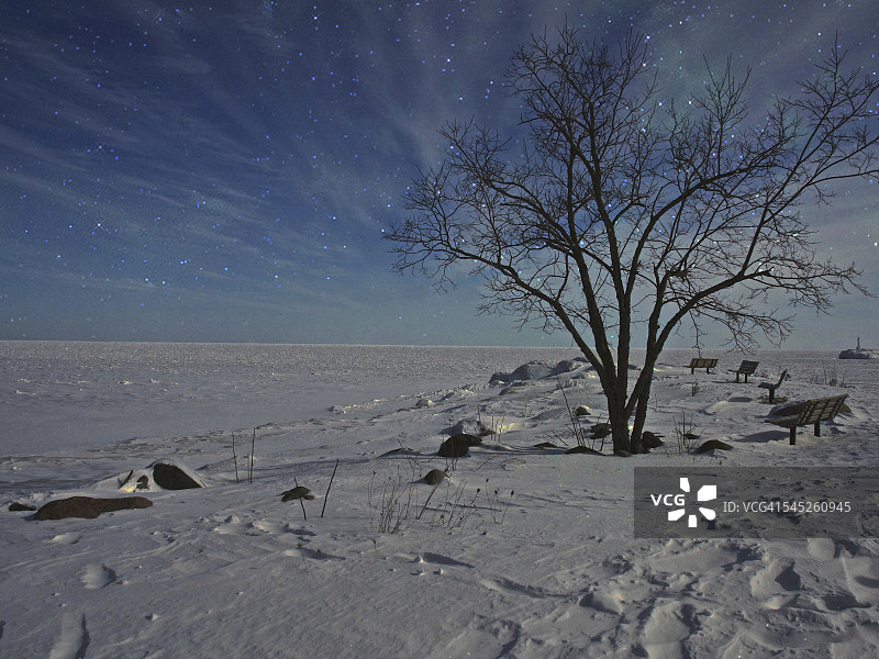 星空树图片素材