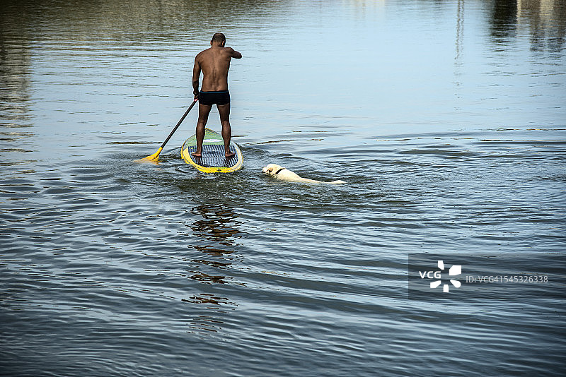 男人和他的狗图片素材