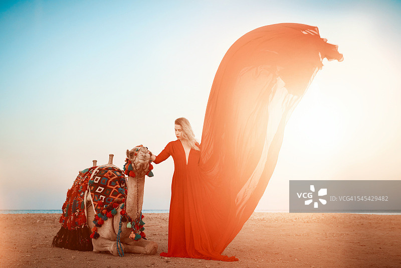 埃及之梦图片素材