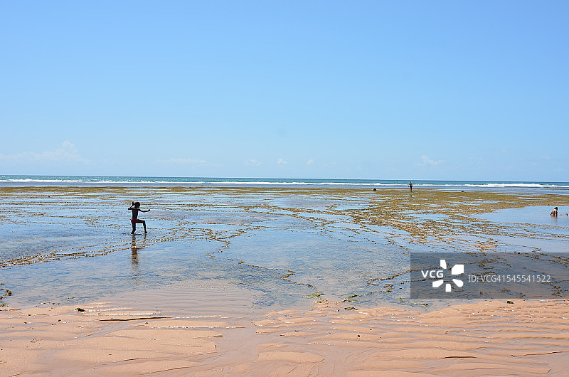 巴西Praia do Forte全景图片素材