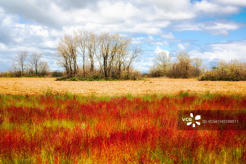 乡村色彩图片素材