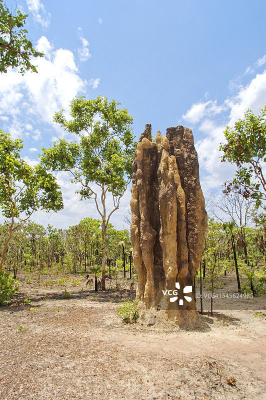 李治菲尔德国家公园的白蚁丘图片素材