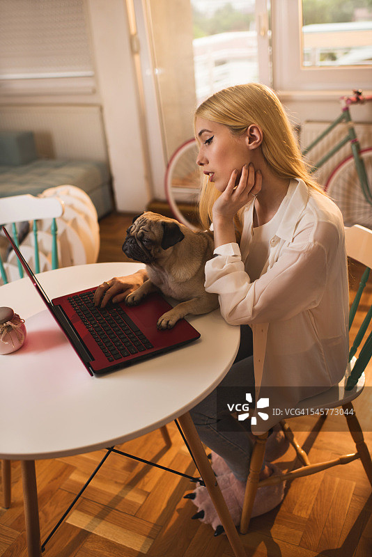 年轻女子和她的哈巴狗在家上网图片素材