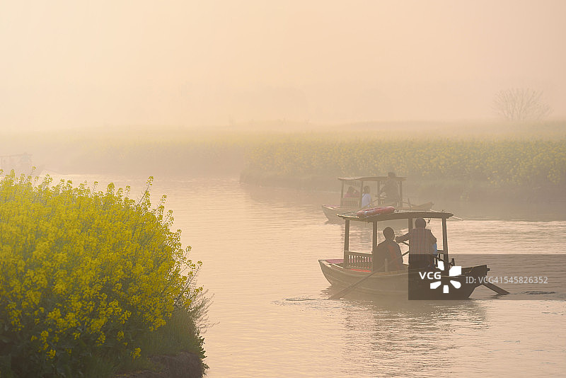 中国江苏兴化，清晨油菜花田运河上的脚踏船图片素材