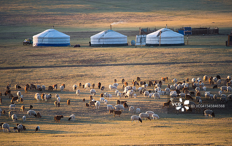 在蒙古戈壁沙漠露营图片素材