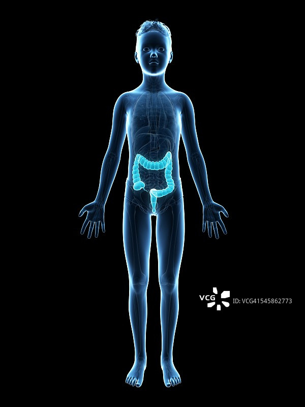 男孩消化系统插图图片素材