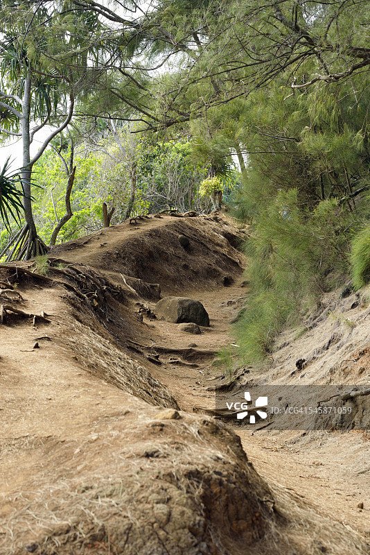 美国夏威夷大岛通往波洛卢山谷的阿维尼小径图片素材