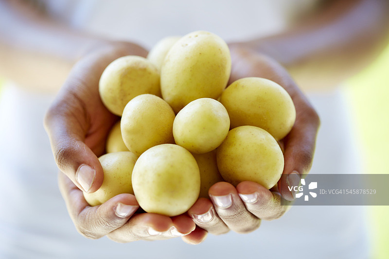 女人手持小土豆图片素材