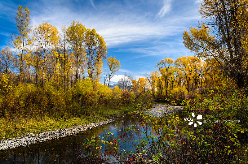 斯旺山谷的秋叶图片素材
