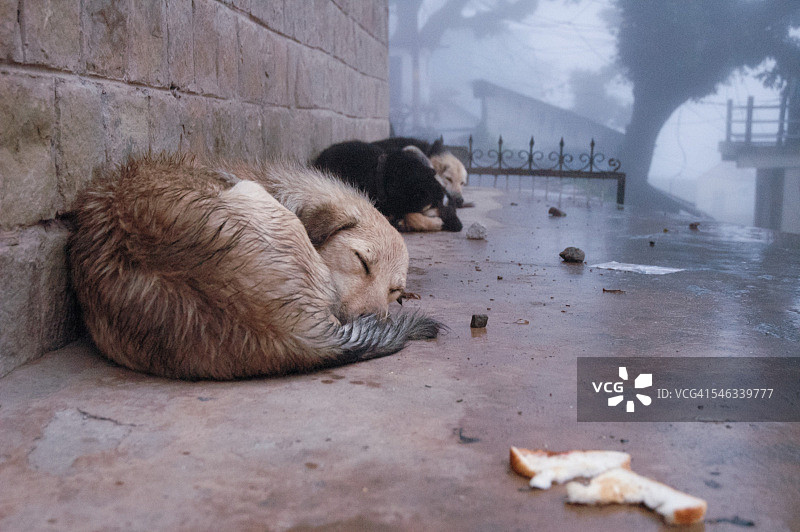 印度的城市和地标图片素材