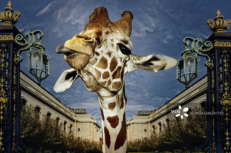 本月最佳图片素材