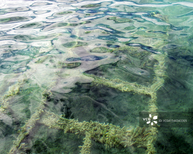 到处是水图片素材