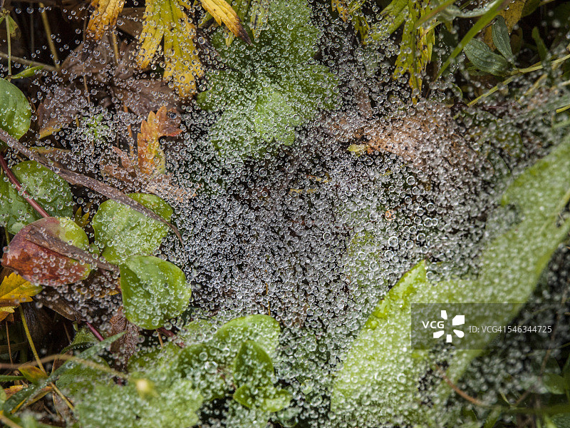 到处是水图片素材