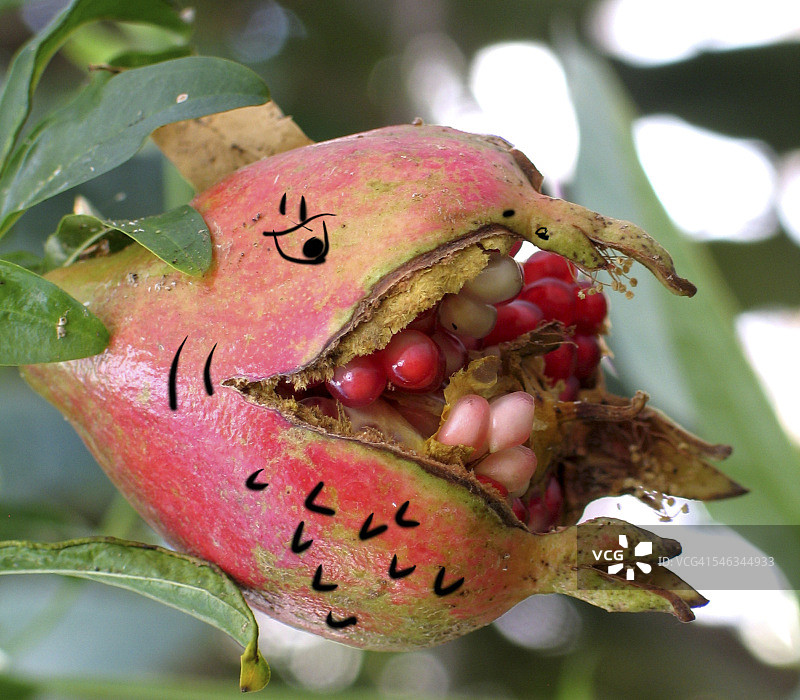 我看到脸图片素材