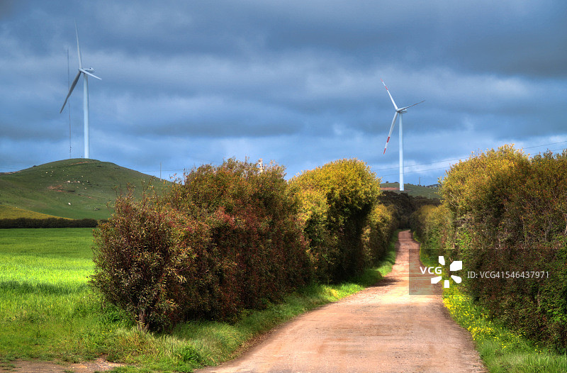 春天的色彩图片素材