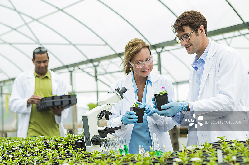 努力工作的生物学家图片素材