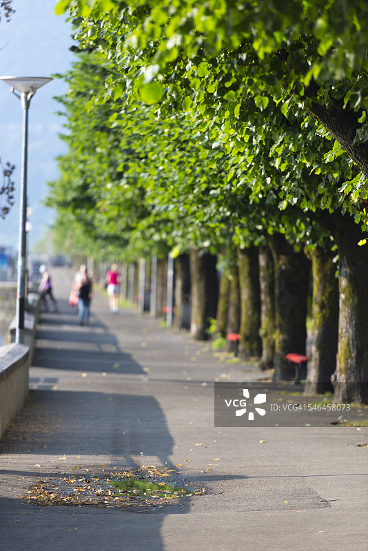 人行道图片素材