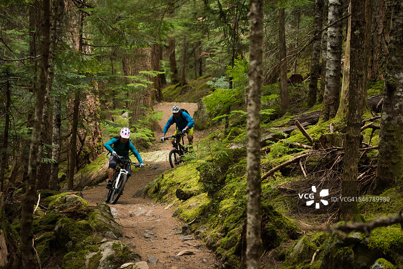 夫妇骑山地自行车穿越森林图片素材