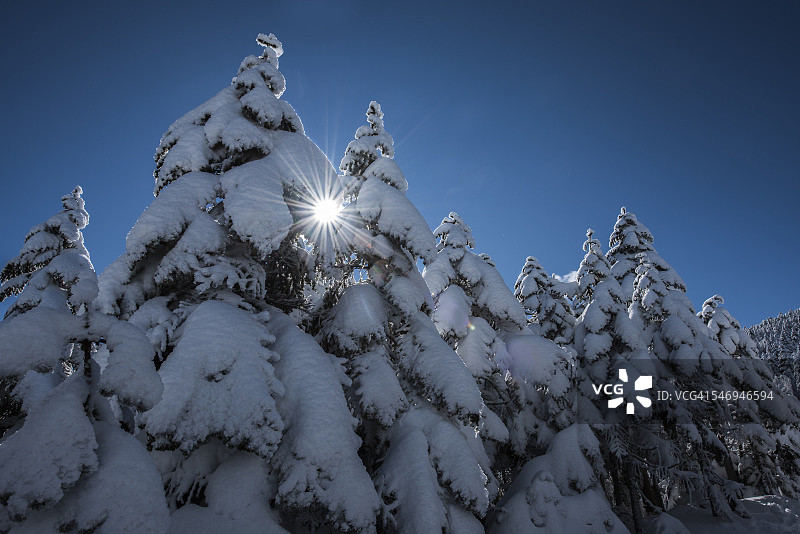 喜多方岳的雪树、蓝天和阳光图片素材
