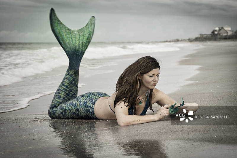 梦幻美人鱼与海马图片素材