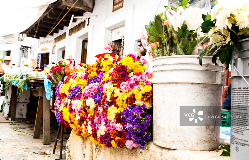 市场上的花图片素材