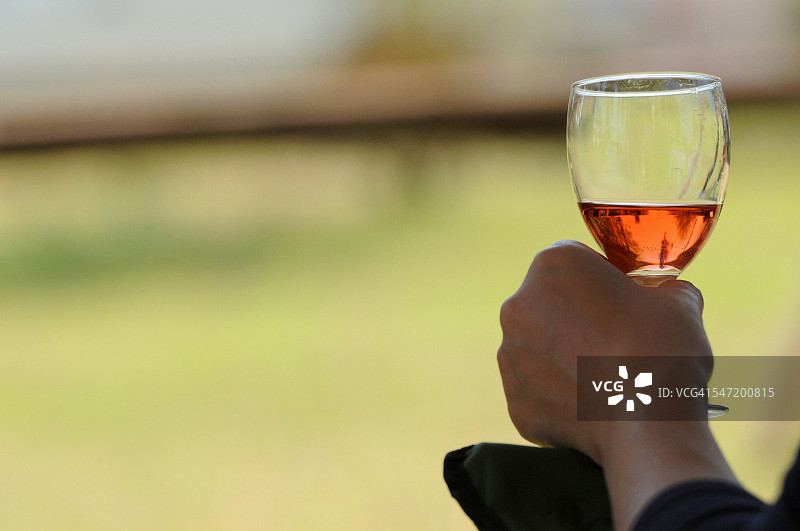 红酒杯（南非，姆普马兰加省，内尔斯普雷特）图片素材