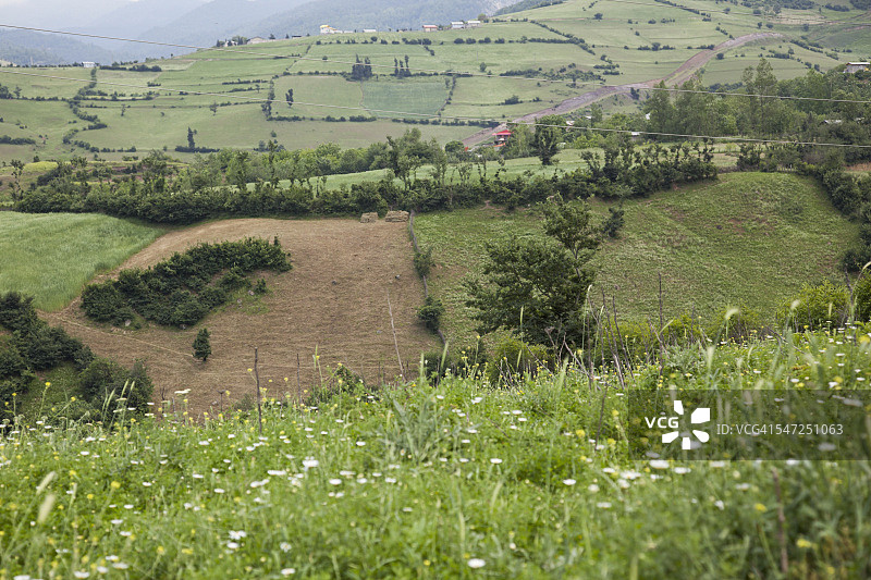 巴雷萨尔地区图片素材