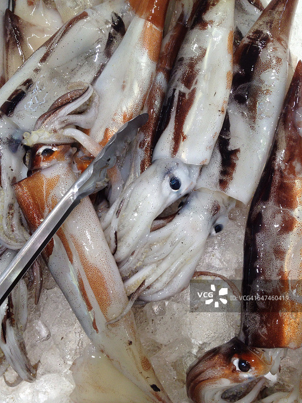 新鲜的鱼图片素材