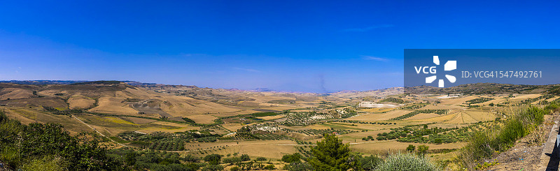 意大利西西里岛恩纳省阿尔梅里纳广场附近的田野和橄榄园图片素材