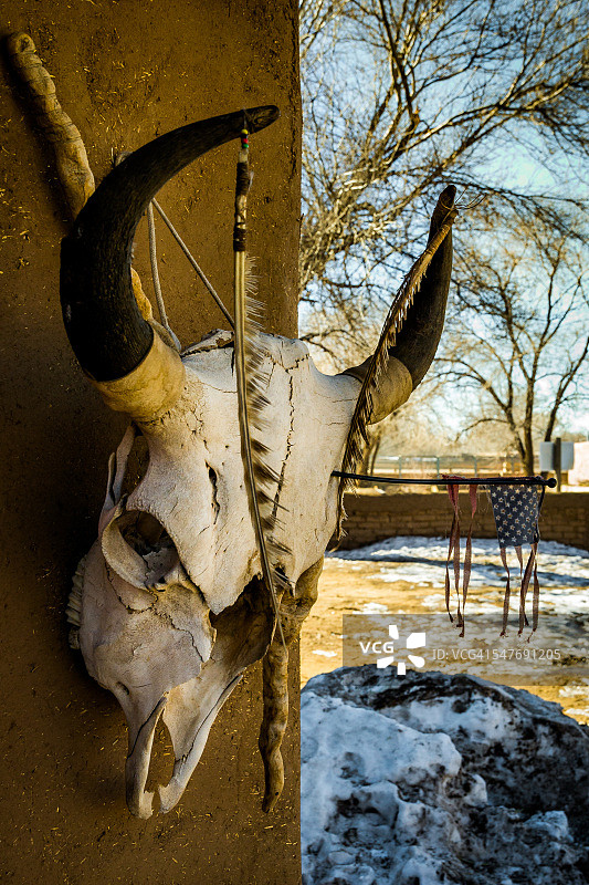 奶牛头骨与美国国旗图片素材