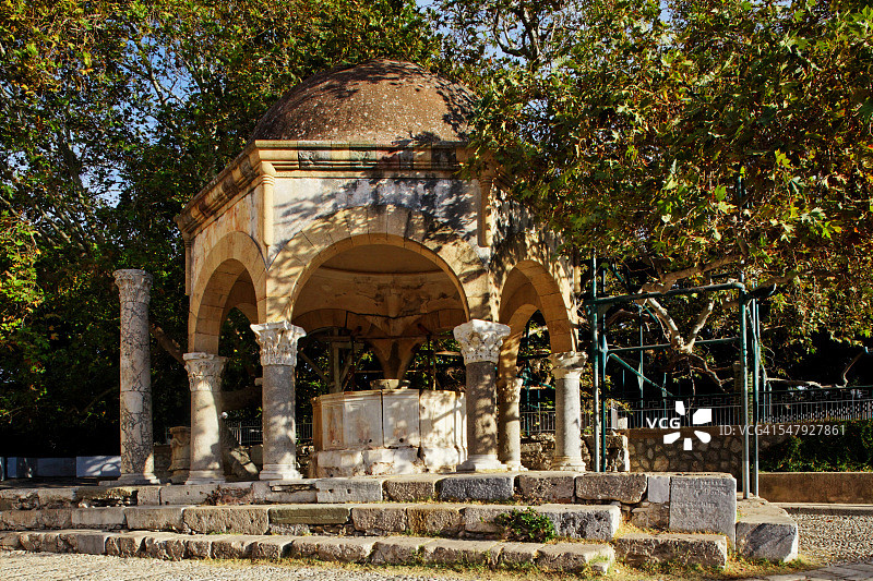 科斯镇的希波克拉底梧桐树图片素材