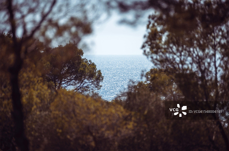 西班牙巴利阿里群岛梅诺卡岛加尔达纳海湾树木景色图片素材