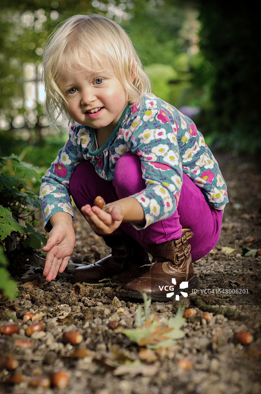 寻找橡子图片素材