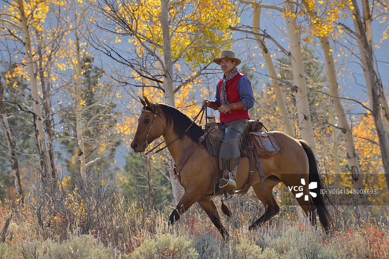 美国怀俄明州大角山脉秋季骑马牛仔图片素材