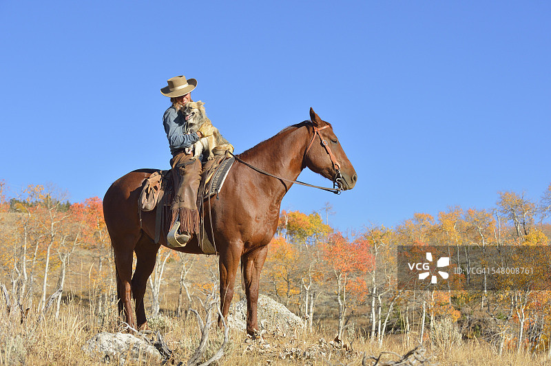 美国怀俄明州大角山脉：坐在马背上带着狗的女牛仔图片素材