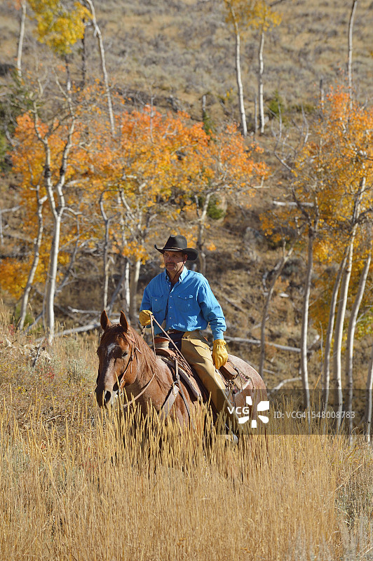 美国怀俄明州大角山脉秋季骑马牛仔图片素材