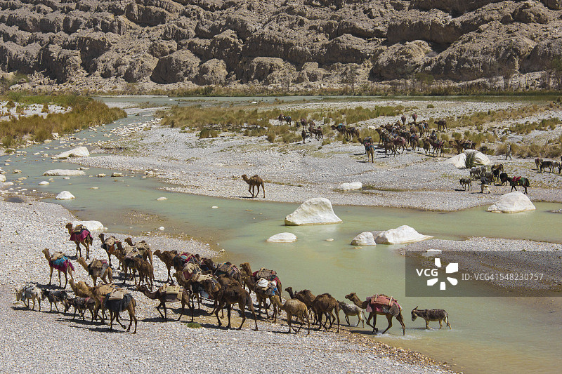 穿越博兰山口的骆驼商队图片素材