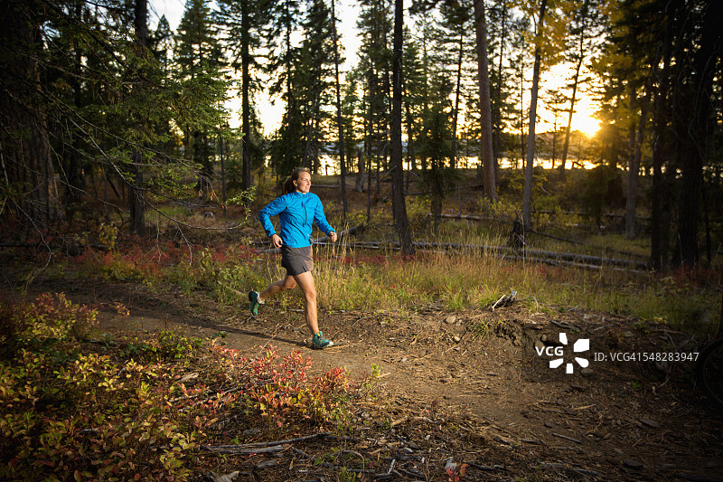 在爱达荷州麦考尔的黄松州立公园哈克贝利湾步道上日落时分的女性越野跑者图片素材