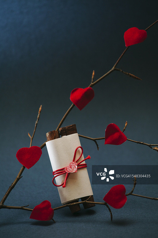 自制卷轴和树枝上的红色纸心图片素材